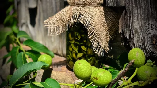 Orzechówka vegestyl